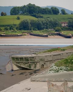 Featured image for More Lost Ships: Purton Ships’ Graveyard